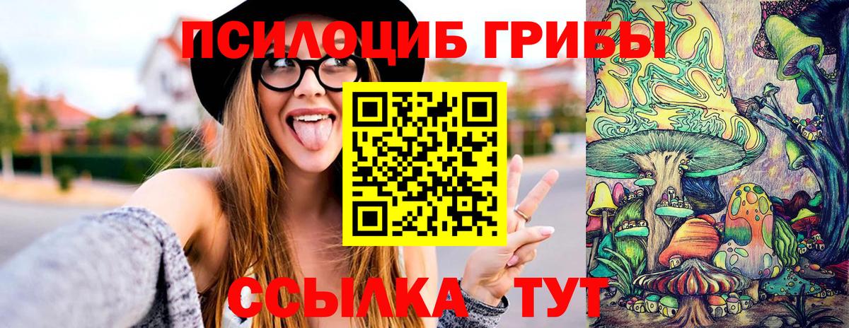 Псилоцибиновые грибы Cubensis  Вход с VPN  Тара  Псилоцибиновые грибы прущие грибы 